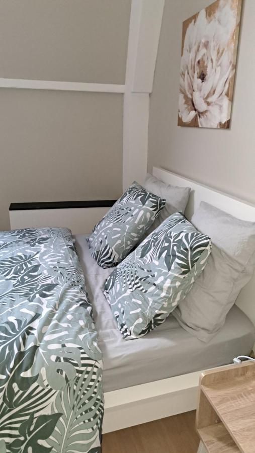 Chambre Cocooning ヴィルヌーヴ＝ダスク エクステリア 写真